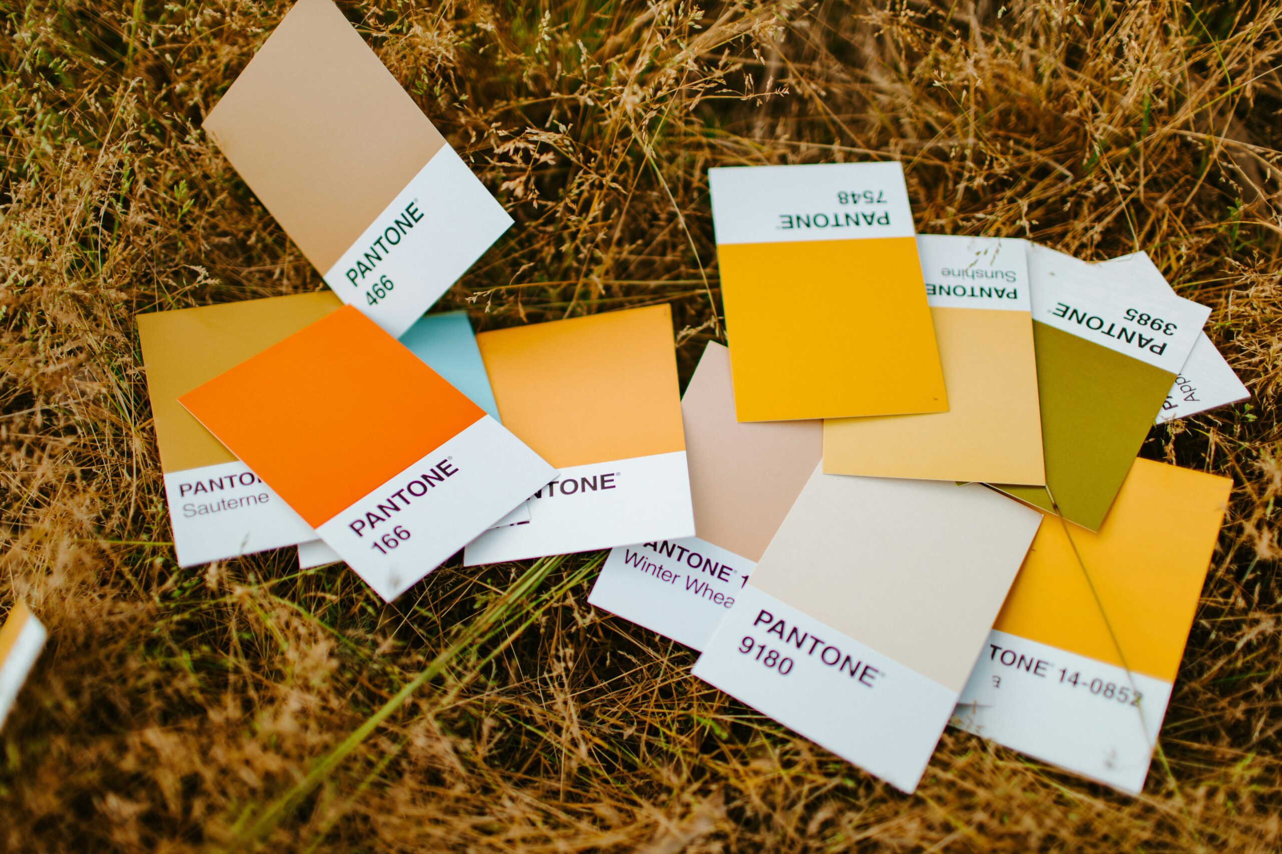 warm-toned pantone colour plates, with hues of yellow orange and beige